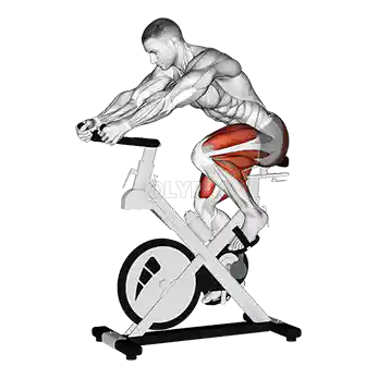 Spinning